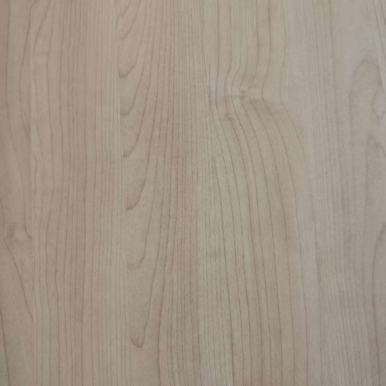 Papel melamínico8031-10